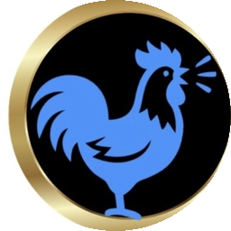 Rudy verified